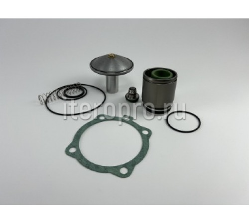Комплект ремонтный клапана впускного RH100E230V 600.0360 