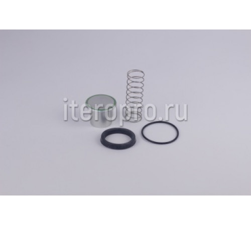 Комплект ремонтный клапана минимального давления G40 / G46 220.0350